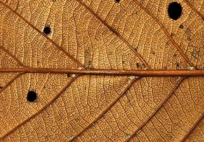 人心恶毒的句子(共30句)