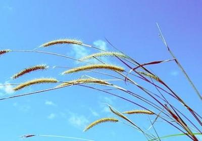 人心现实的押韵句子(通用15句)