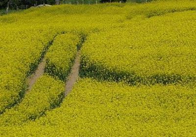 人心美句子(推荐40句)