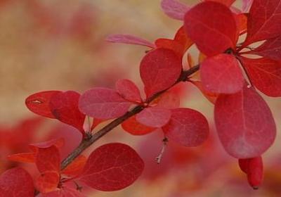 人物语言描写的句子(实用60句)