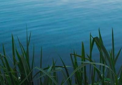 人物动作的长句子(优选50句)