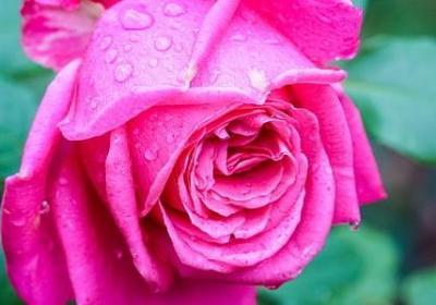 人物精神心理的句子(50句)