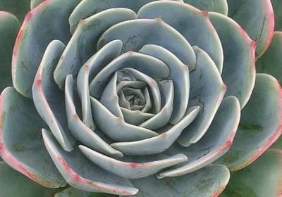 人生启航的句子(精选50句)