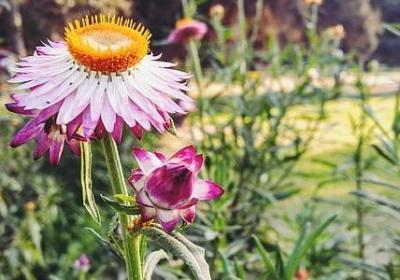 人生宽窄句子图片(通用40句)