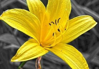 人生悟美句子(汇总69句)