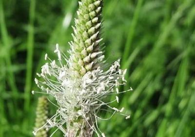 人生如减法的唯美句子(汇总80句)