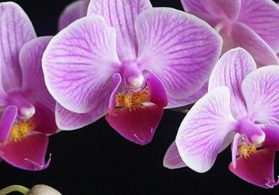 人生感悟 经典文案句子(汇总50句)