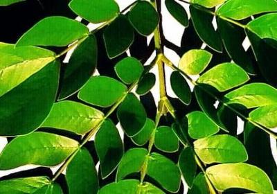 人生感悟的句子200(汇总50句)