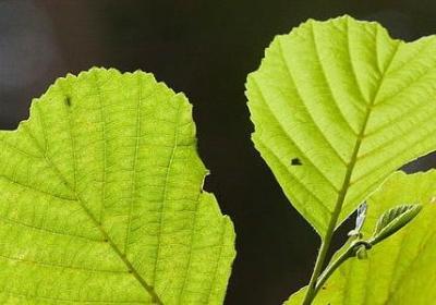 人生旅途感悟的句子(优选40句)