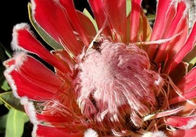 人生磨难与坎坷的句子(精选15句) 人生磨难与坎坷的句子(精选15句)