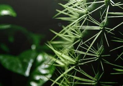 人生经典励志句子(热门70句) 人生经典励志句子(热门70句)