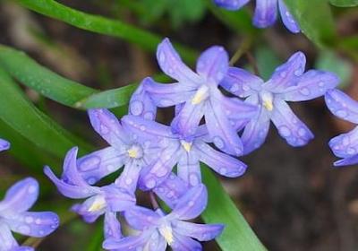 人的一生的句子(热门58句)