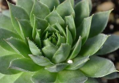 人生途径的句子(共30句)