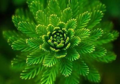 人穷志不穷能量句子(汇总10句)