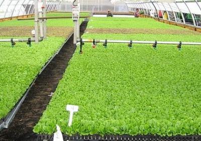 人要有肚量的句子(共39句)