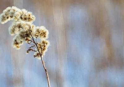 人跌落谷底的心情句子(合集20句)