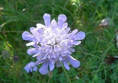 人车的句子(推荐40句)