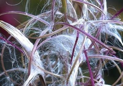 人间情暖的句子(共51句)