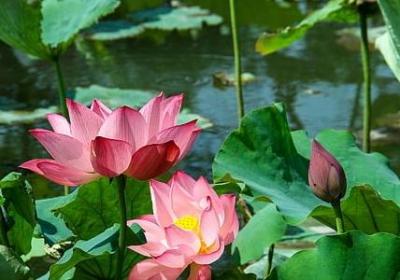 人间自暖句子(10句)