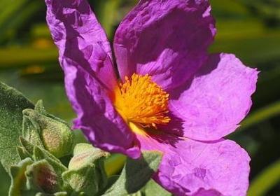 什么句子配夜景好听(热门80句)