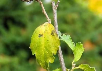 什么句子吸引男人开心(共40句)