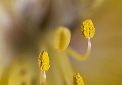 什么句子算神态描写句子(汇总51句)