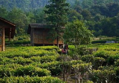 人品也不好的句子(推荐80句)