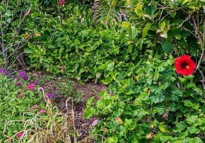 人性句子夜里发光的句子(精选40句)