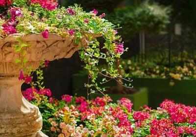 人心不正的句子(必备20句)