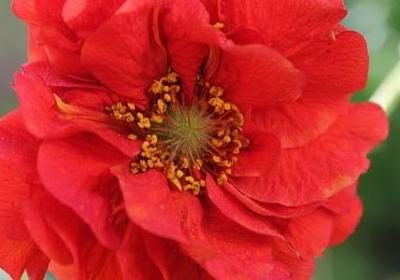 人性哲理句子(热门60句)