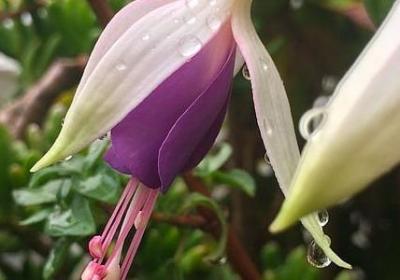 人最珍贵的句子(汇总60句)