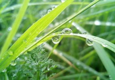 人物外貌好句子(推荐20句)