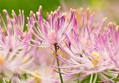 人物美好的瞬间句子(汇总60句)