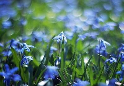 人生启发的句子(共70句)