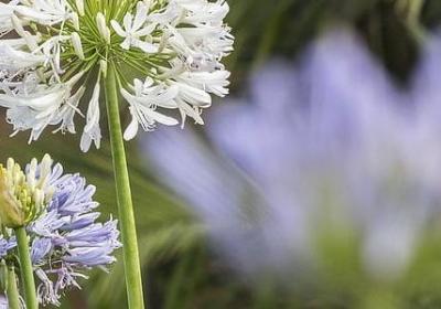 人生好无奈的句子(优选50句)