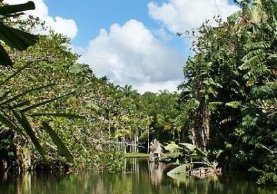 人生感悟卖货句子(热门40句)