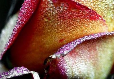 人生崩溃日常的句子(实用60句)