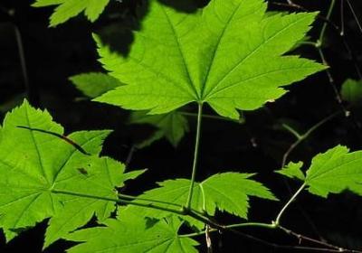 人生无助瞬间的句子(通用10句)