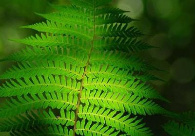 人生爱情的句子(60句)