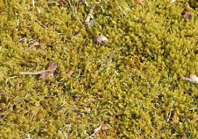 人生最酷的头条句子(精选81句)