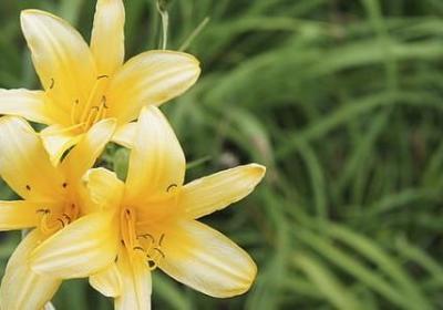 人生搞笑的句子(优选50句)