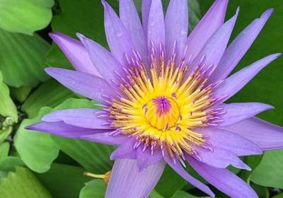 人生真理精辟句子(共10句) 人生真理精辟句子(共10句)