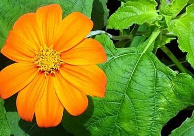 人生短暂珍惜当下句子(汇总50句)