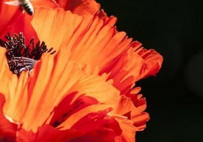 人走错一步的句子(实用60句)