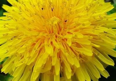 什么什么吗造句子(热门80句)