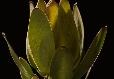 什么句子后面是真(精选160句)