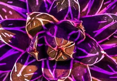 什么可以什么写句子(汇总80句) 什么可以什么写句子(汇总80句)