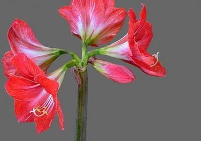 什么可什么了补充句子(通用20句) 什么可什么了补充句子(通用20句)