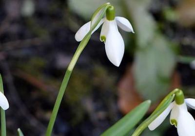 什么什么没瞌睡句子(精选10句) 什么什么没瞌睡句子(精选10句)