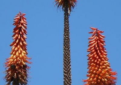 什么怎么造句子(精选40句) 什么怎么造句子(精选40句)